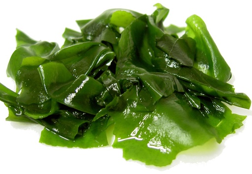 WAKAME FROZEN