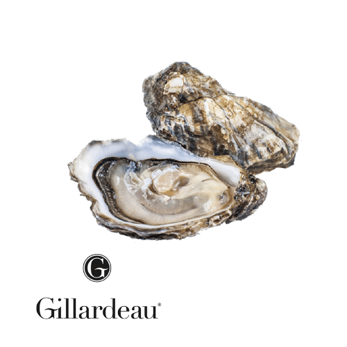 OYSTER GILLARDEAU