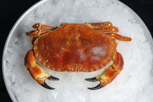 RED KING CRAB FROZEN