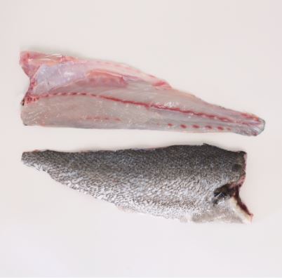 CROAKER / UMBRINA FILLET