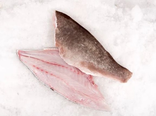 GROUPER FILLET