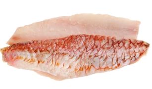 RED PORGY FILLET