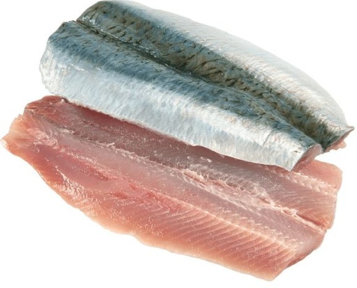 SARDINE FILLET (ANE)