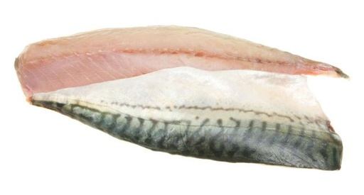 MACKEREL FILLET