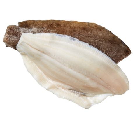 PLAICE FILLET