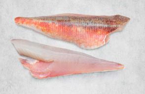 RED GURNARD FILLET