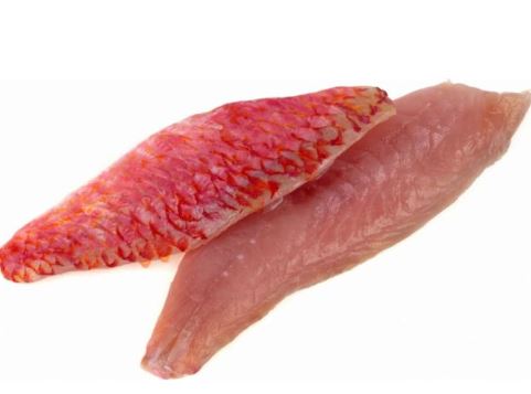 RED MULLET FILLET