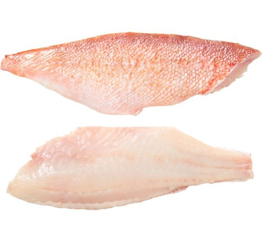 REDFISH FILLET