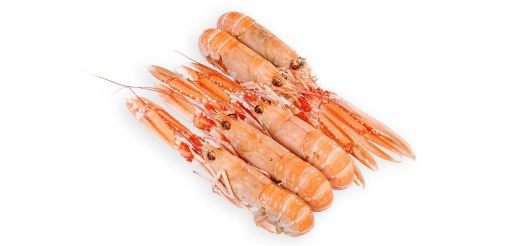 LANGOUSTINE SCAMPI 4/8 P FROZEN