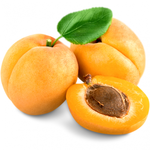 APRICOT