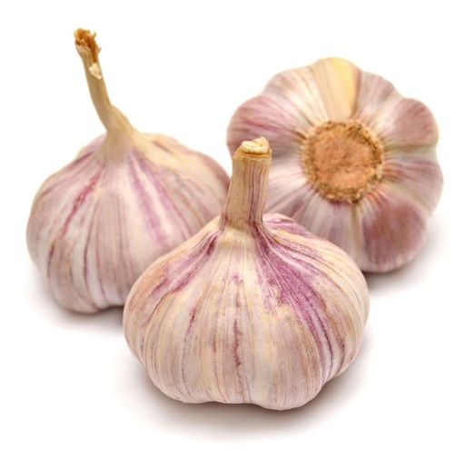 GARLIC PINK 