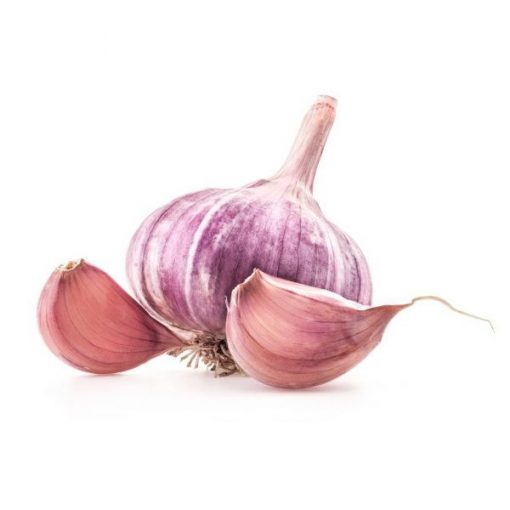 GARLIC PURPLE 