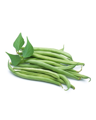 BEANS GREEN EXTRA FINE