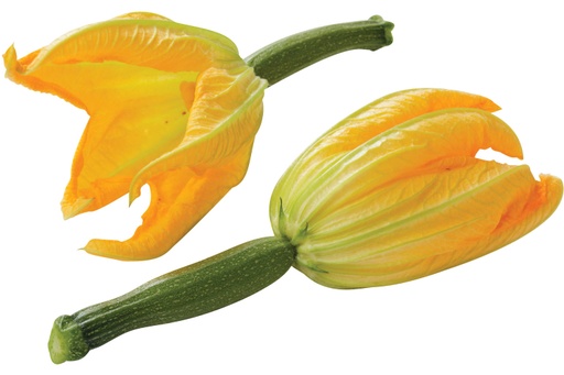 ZUCCHINI FLOWER