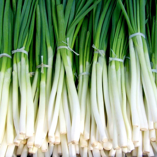 SPRING ONION  STRANDS