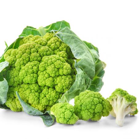 CAULIFLOWER GREEN 