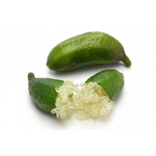 FINGER LIME