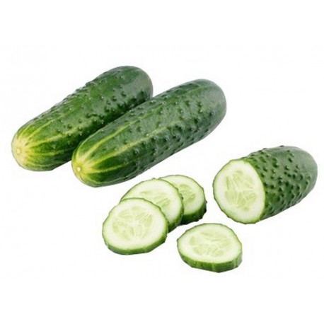 CUCUMBER NOA