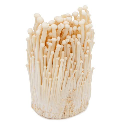 MUSHROOM ENOKI