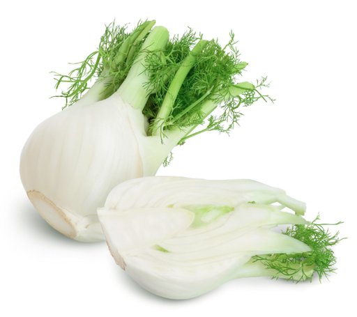 FENNEL