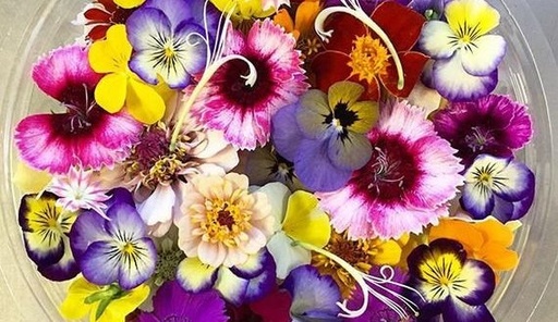 EDIBLE FLOWERS 