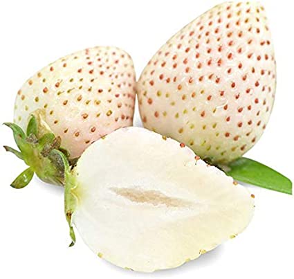 STRAWBERRIES WHITE 