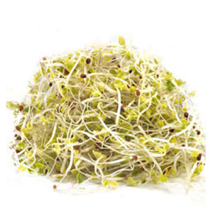 SPROUTS PEA