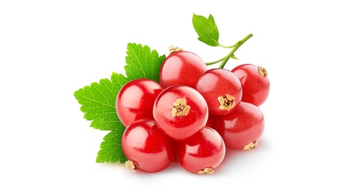 REDCURRANT