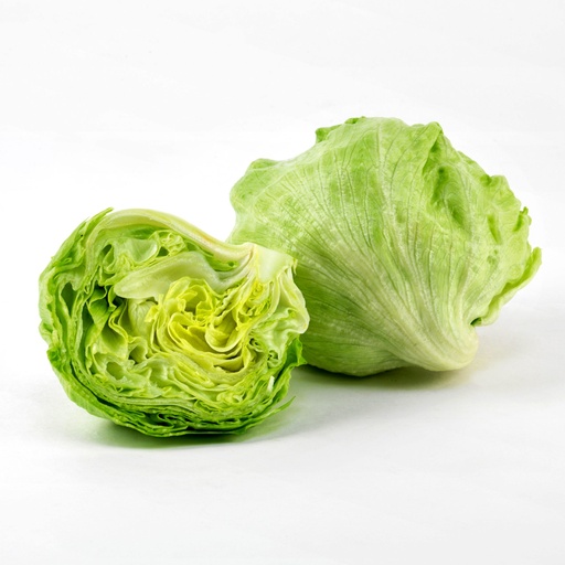 LETTUCE ICEBERG 