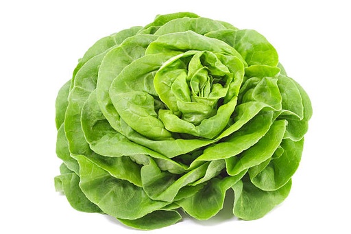 LETTUCE