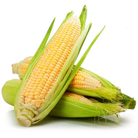 CORN ON THE COB