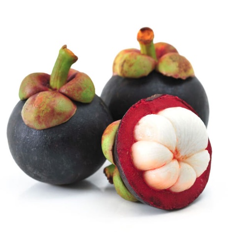 MANGOSTEEN