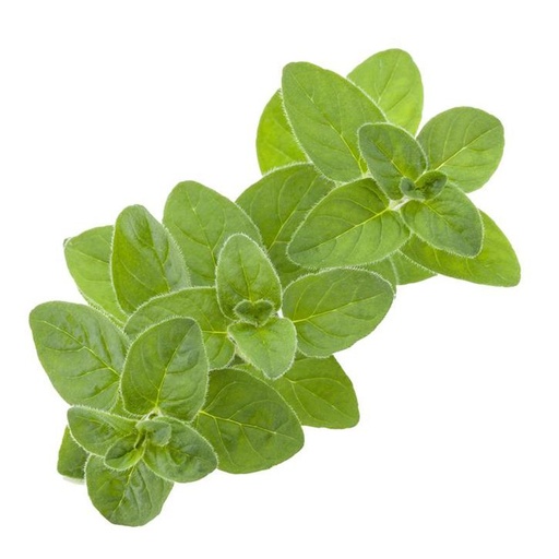 CRESS MARJORAM