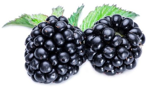 BLACKBERRIES 