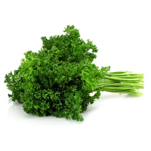 PARSLEY CURLY