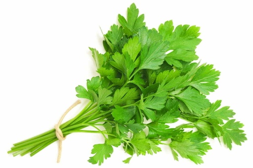 PARSLEY FLAT LEAF 