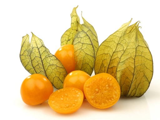 CAPE GOOSEBERRY 