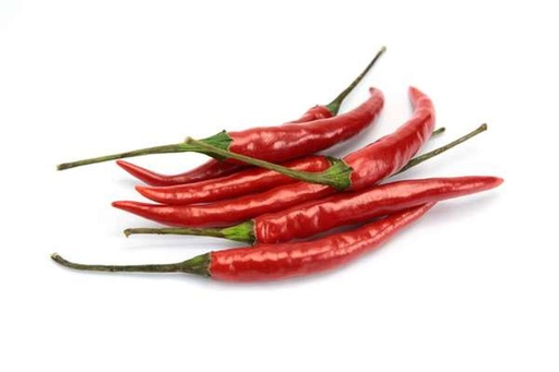 CHILLI BIRD'S EYE RED