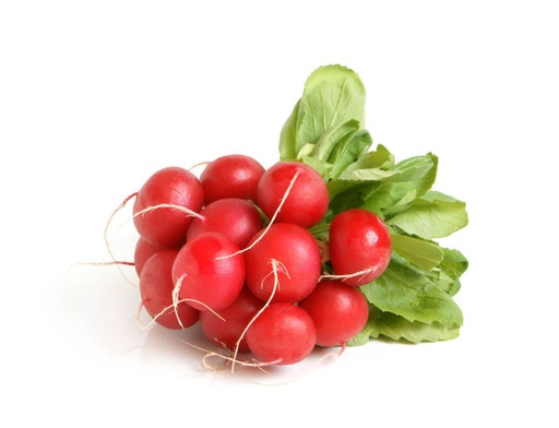 RADISH ROUND 