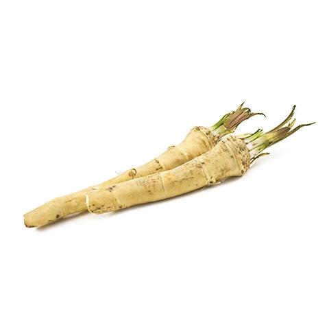 HORSERADISH