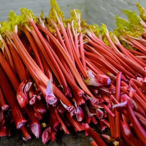 RHUBARB