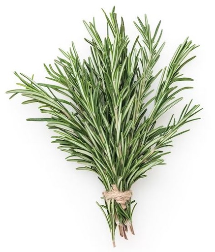 ROSEMARY