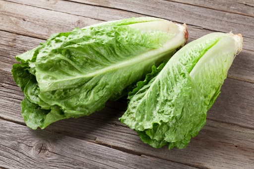 LETTUCE ROMAINE