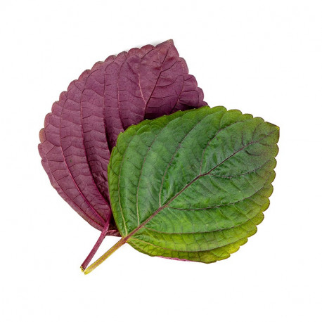 SHISO LEAVES