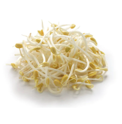 SOYA BEAN SPROUTS