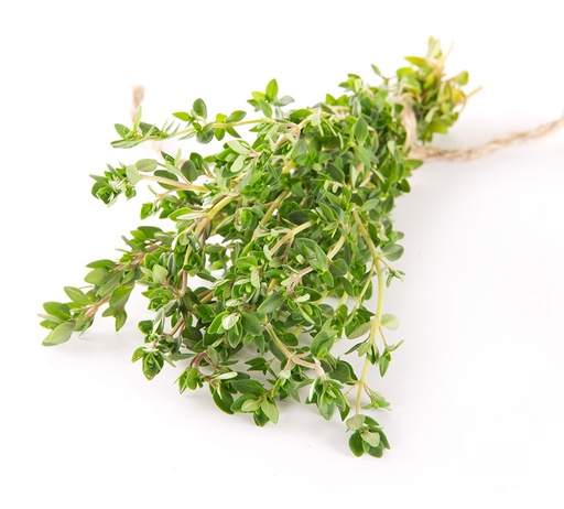 THYME LEMON 