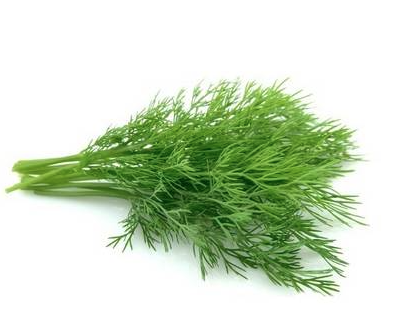 DILL