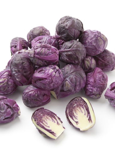 BRUSSEL SPROUT PURPLE