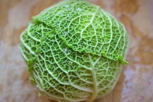 CABBAGE SAVOY