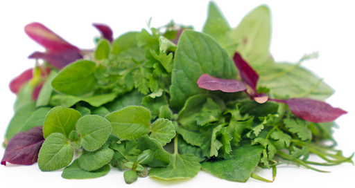 MICROHERBS ASSORTMENT